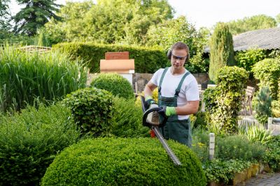 Hedge Pruning detail