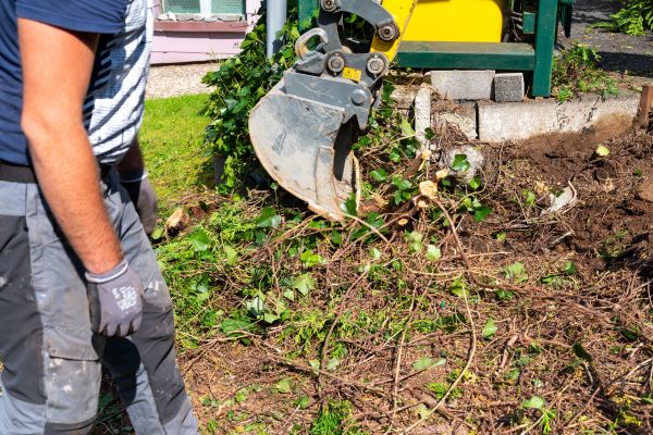 Hedge Removal Service in Cheyenne