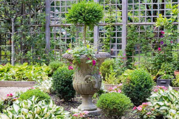 Cost of Topiary Pruning in Cheyenne